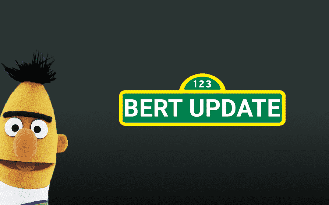 The Google BERT Update – What Can You Do As A Webmaster